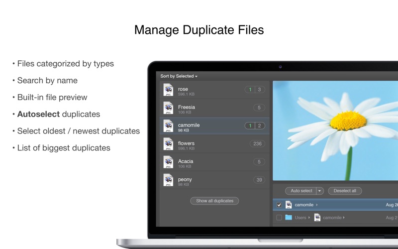 Duplicates_Expert_best_finder.app caprure 2 2_Duplicates_Expert_best_finder.jpg