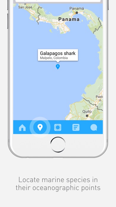 iPhone Screenshot 3