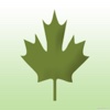 Utree