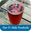 How To Make Kombucha