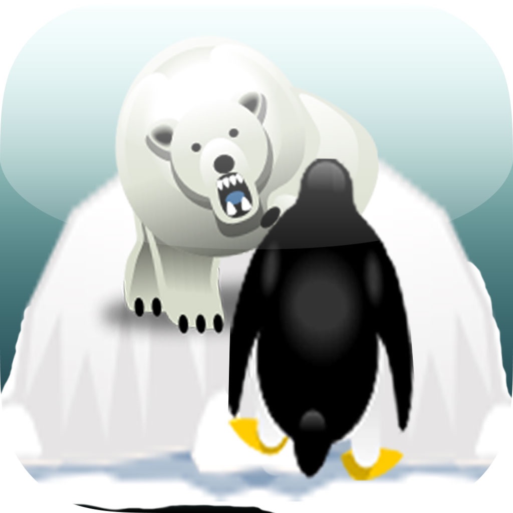 pinguin rennen pinguin rennen