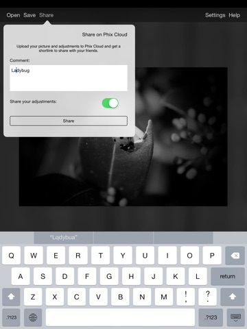 iPad Screenshot 5
