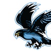The Falcons Nest fighting falcons 