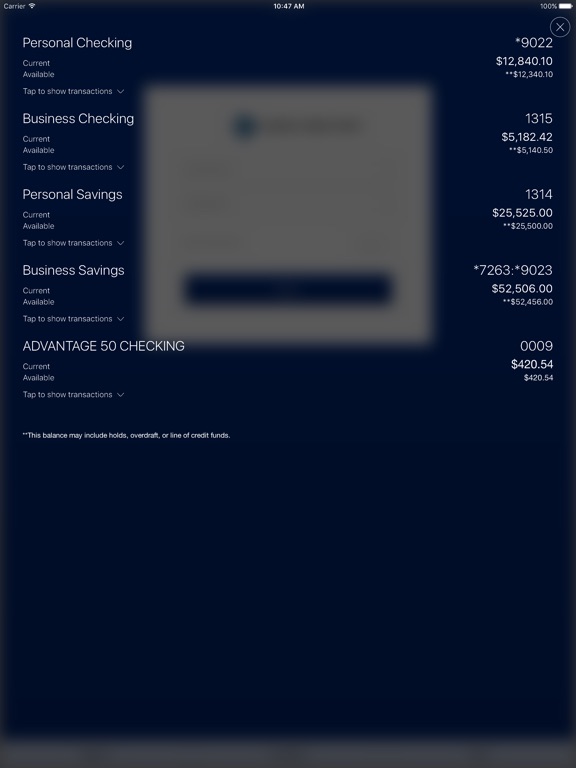 iPad Screenshot 4