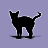 Cat Breeds - for cat lovers - pictures of cat breeds 