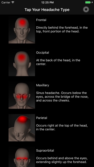 iPhone Screenshot 1