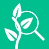 search - for Vine vine make a scene