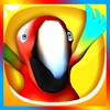Talking Parrot Pet Games Talking Parrot Mini Games