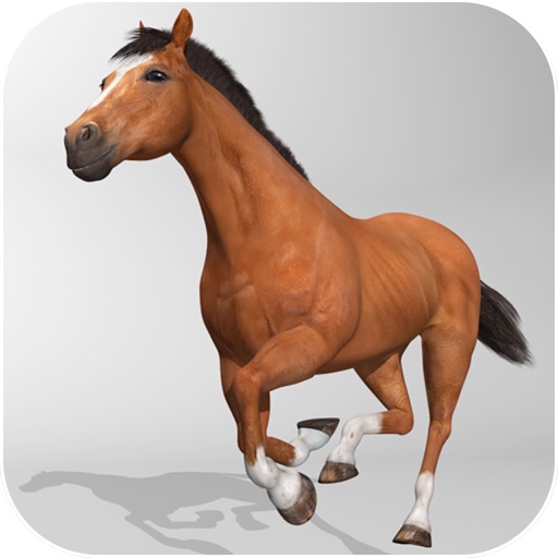 unblocked games 911 horse simulator 3d