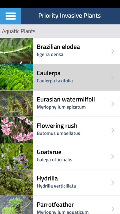 iPhone Screenshot 2