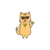 Ashes the Cat