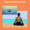 Guided meditation mindfulness mindfulness meditation 