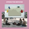 Meditation Introduction introduction to statistics 
