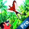 Rosa Forero - A Duck Flying Pro : Hunting Sport the Best artwork