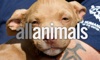 All Animals animal humane society 