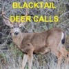 Blacktail Deer Calls Sounds Sports Deer Call Deer Calls