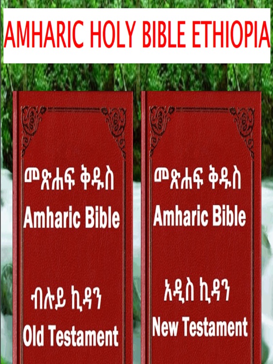 Holy bible in amharic free download pdf