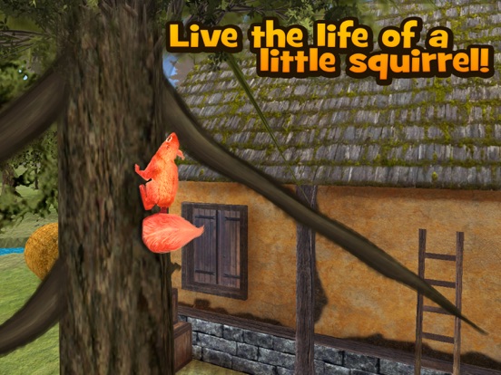 Wild Squirrel Simulator 3D на iPad