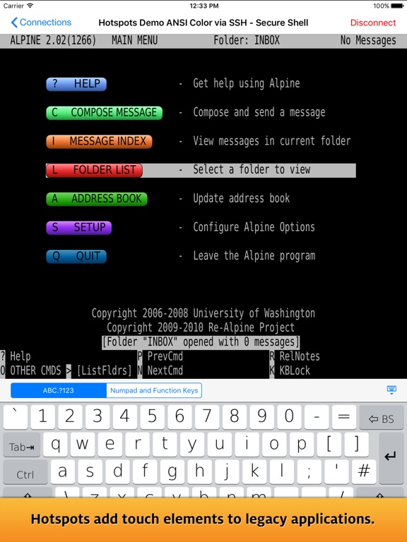 iPad Screenshot 4