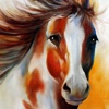 Paint Horse Wallpapers HD: Quotes and Art Pictures horse pictures 