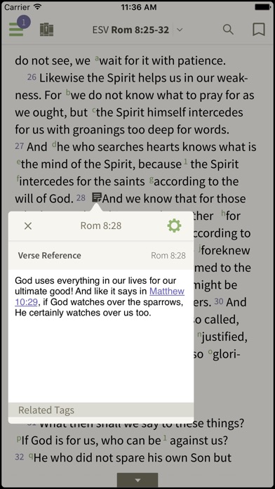 Nlt Study Bible By Olive Tree review screenshots