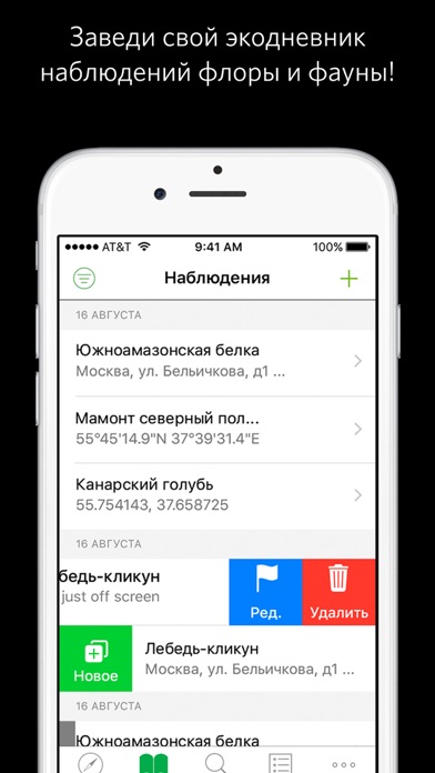 iPhone Screenshot 1
