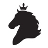 Baroque Horse baroque architecture