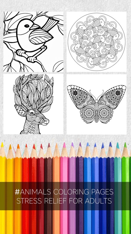 free coloring pages for adults app
