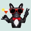 Bulldog Francese Stickers