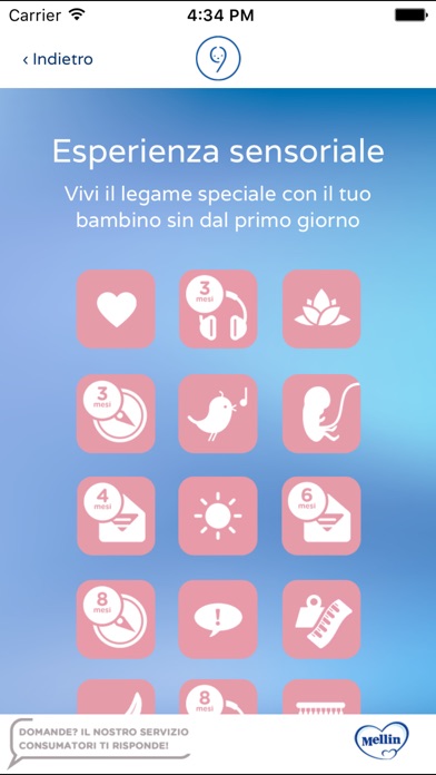 iPhone Screenshot 4