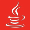 Java Programming Examples examples of media 