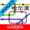 Whale's Harbin Metro Subway Map 鲸哈尔滨地铁地图 harbin heilongjiang province 