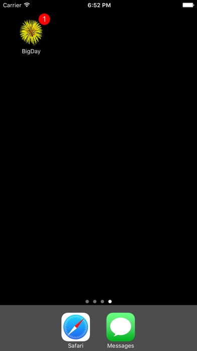iPhone Screenshot 3