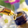 Natural Oils 101: Plant Therapy and Hot Topics plant therapy 