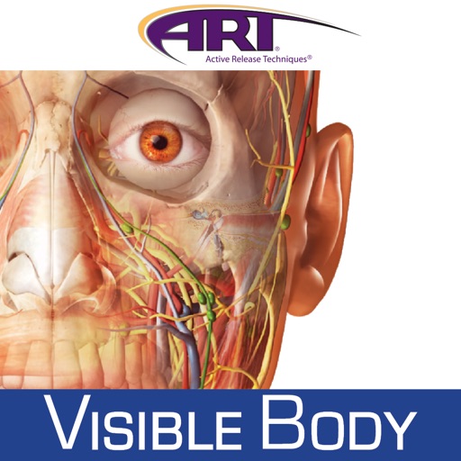 Human Anatomy Atlas for Active Release Techniques