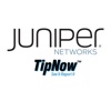 TipNow - Juniper andorra juniper 