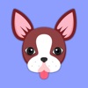 Animated Red Boston Terrier Stickers