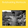 Bodybuilding workouts+ bodybuilding workout 
