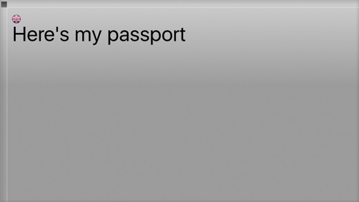 iPhone Screenshot 4
