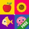 Sorter Lite - Giochi educativi per bambini gratis