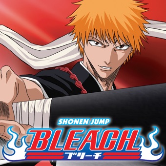 Bleach - The Entry