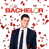 The Bachelor - The Bachelor, Season 20  artwork