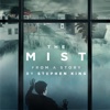 The Mist - Show and Tell  artwork