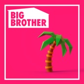 Big Brother - Big Brother, Season 19  artwork