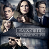 Law & Order: SVU (Special Victims Unit) - Send in the Clowns  artwork