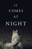 Trey Edward Shults - It Comes At Night  artwork