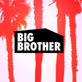 Big Brother - Big Brother, Season 18  artwork