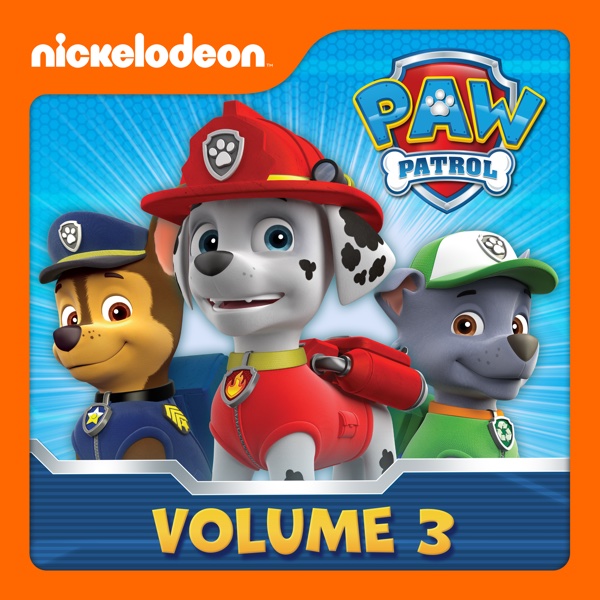 paw patrol pups leave marshall home alone