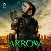 Arrow - Canary Cry artwork