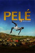 Jeffrey Zimbalist & Michael Zimbalist - Pelé: Birth of a Legend  artwork